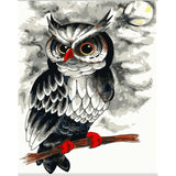 Owl Diy Paint By Numbers Kits WM-373 - NEEDLEWORK KITS