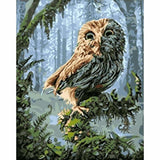 Owl Diy Paint By Numbers Kits WM-902 ZXQ1261 - NEEDLEWORK KITS