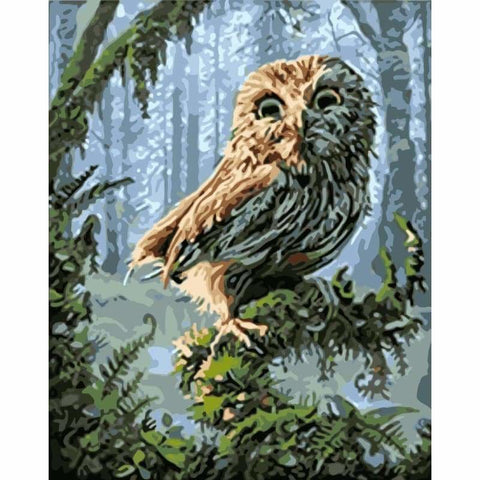Owl Diy Paint By Numbers Kits WM-902 ZXQ1261 - NEEDLEWORK KITS