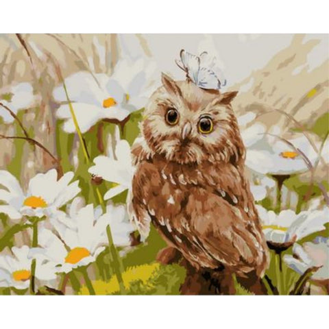 Owl Diy Paint By Numbers Kits ZXQ2097 - NEEDLEWORK KITS