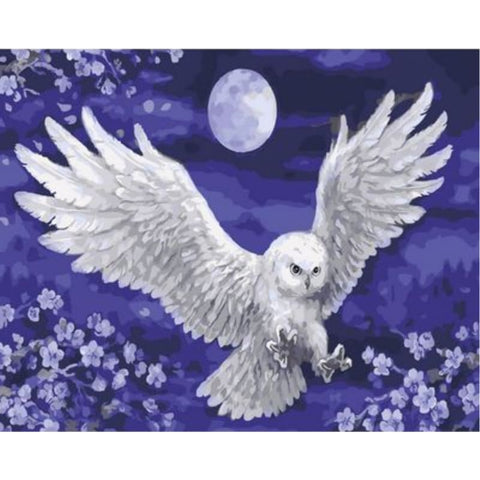 Owl Diy Paint By Numbers Kits ZXQ2110 - NEEDLEWORK KITS