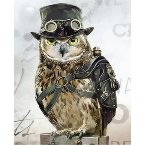 Owl Diy Paint By Numbers Kits ZXQ2685 - NEEDLEWORK KITS