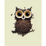 Owl Diy Paint By Numbers Kits ZXQ2794 - NEEDLEWORK KITS