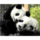 Panda Diy Paint By Numbers Kits ZXQ716 - NEEDLEWORK KITS