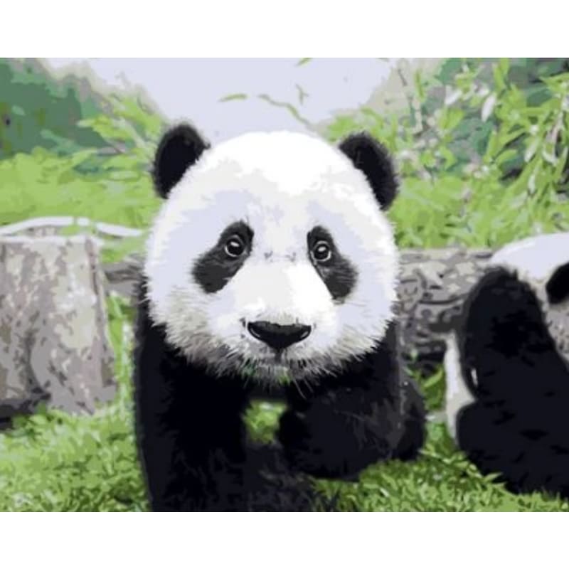 Panda Diy Paint By Numbers Kits ZXQ777 - NEEDLEWORK KITS