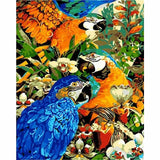 Parrot Diy Paint By Numbers Kits WM-1309 - NEEDLEWORK KITS