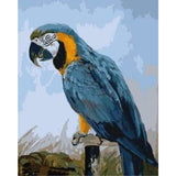 Parrot Diy Paint By Numbers Kits ZXB84 - NEEDLEWORK KITS