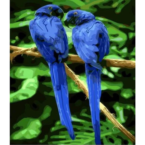 Parrot Diy Paint By Numbers Kits ZXQ007 - NEEDLEWORK KITS