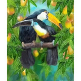 Parrot Diy Paint By Numbers Kits ZXQ2645 - NEEDLEWORK KITS