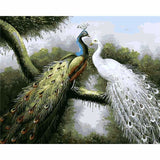 Peacock Diy Paint By Numbers Kits PBN30016 - NEEDLEWORK KITS