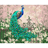 Peacock Diy Paint By Numbers Kits WM-1238 - NEEDLEWORK KITS