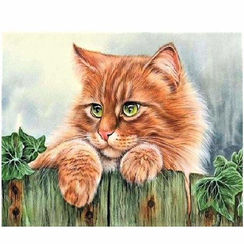 Pet Cat Diy Paint By Numbers Kits VM90620 - NEEDLEWORK KITS