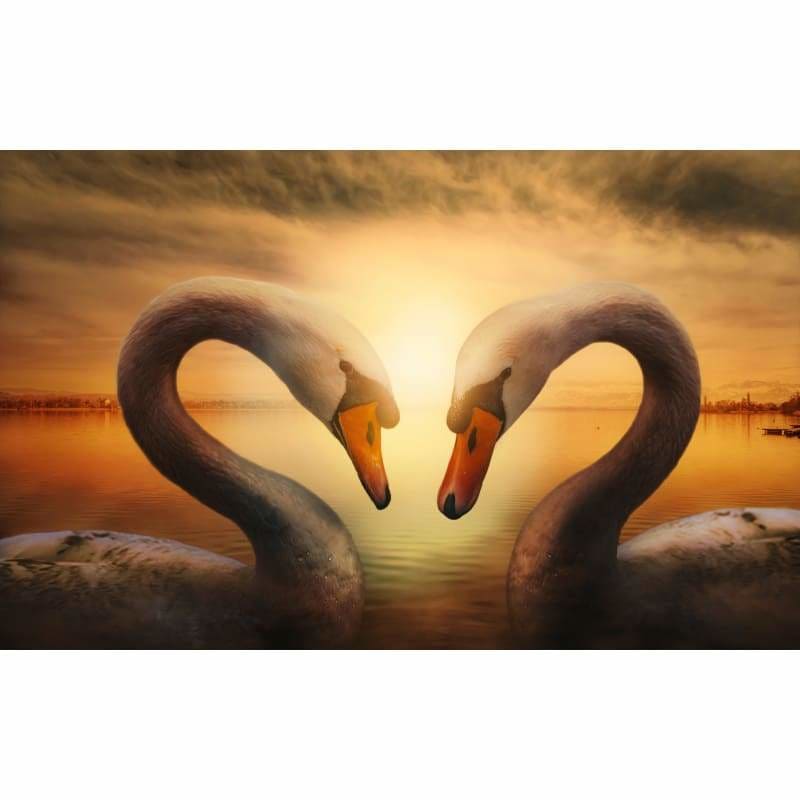 Swan Diy Paint by Numbers Kits DIY PBN96418 - NEEDLEWORK KITS