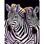 Zebra Diy Paint By Numbers Kits YM-4050-182 - NEEDLEWORK KITS